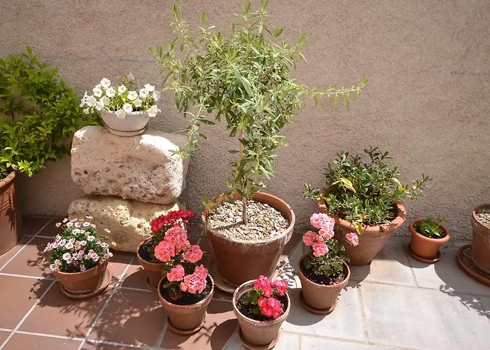 La Casa De Aldeas 3* Daroca